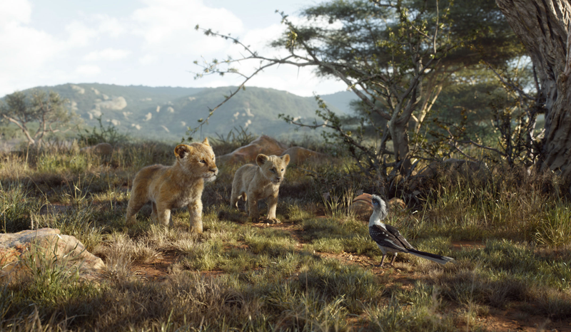 Simba and Nala talk to Zazu in The Lion King.
